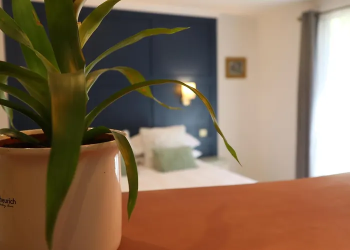 別荘 The Garden Retreat *